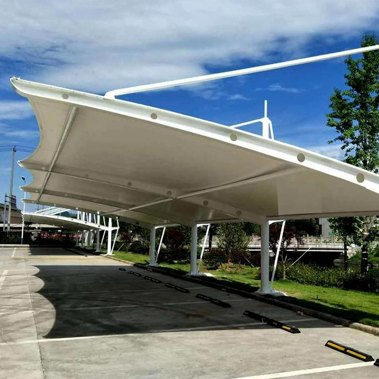 廉江市膜结构汽车棚